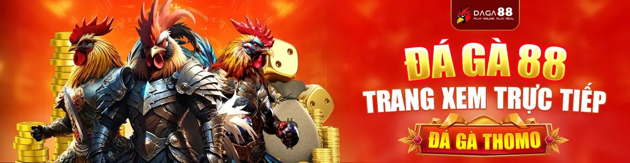 Đá Gà Trực Tiếp ffok nhà cái
