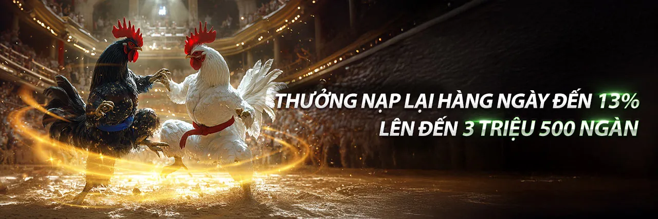 Người chơi vui vẻ tham gia các trò chơi đa dạng tại ffok nhà cái